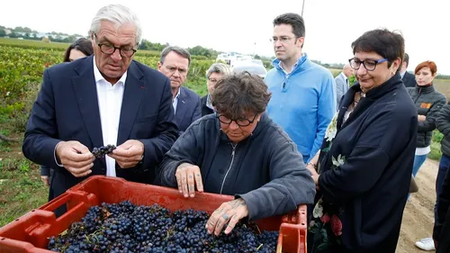 François Sauvadet dans les vignes avec les vendangeurs 
